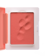 Cloud Paint Plush Blush